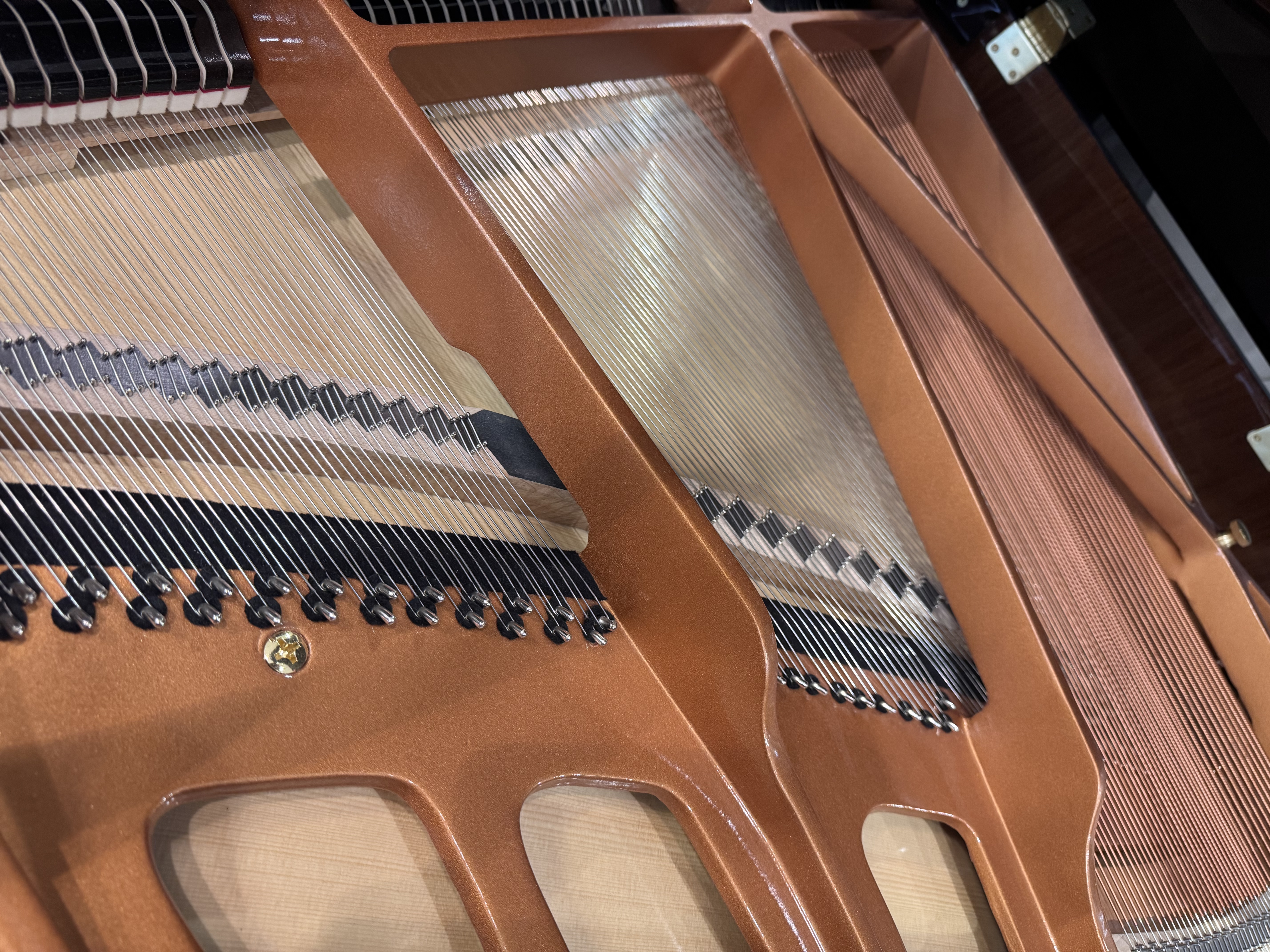 Player piano interior — strings and soundboard